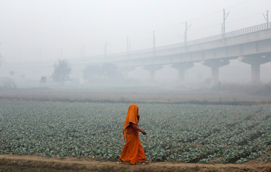 Air pollution is a problem globally, with 99% of people breathing air that exceed World Health Organization guidelines. Pictured here is a woman walking across a field with heavy smog hanging in the air in the Indian city of New Delhi.