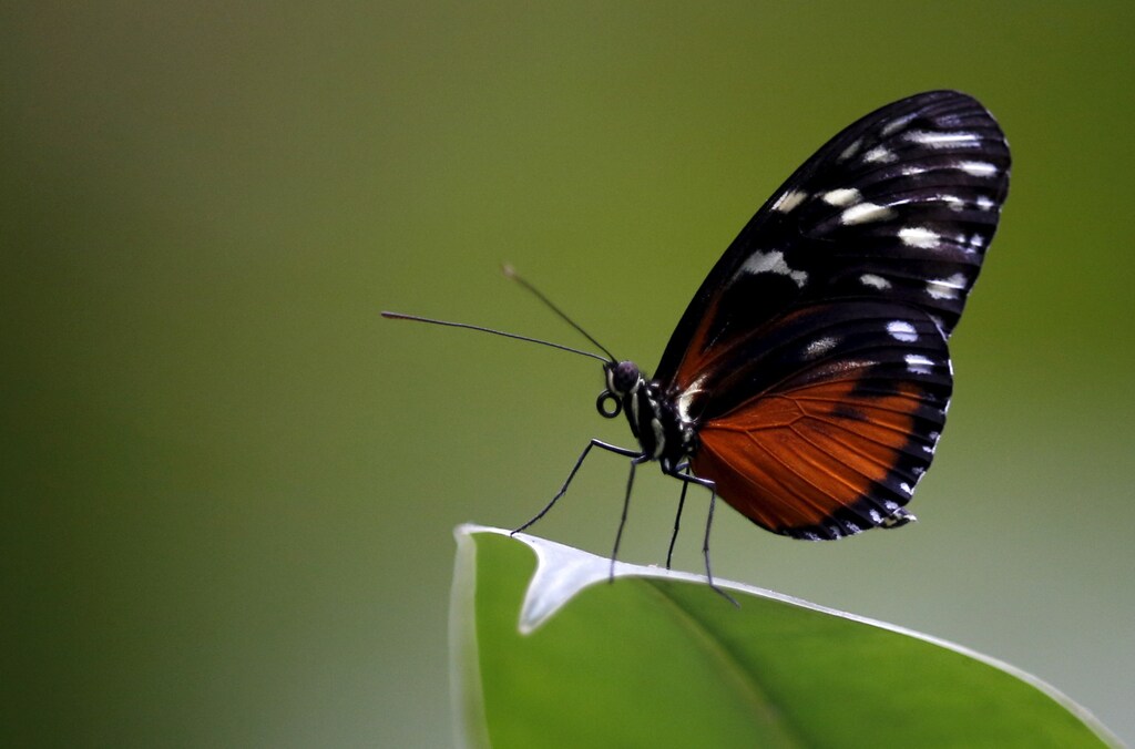On World Environment Day 2018, it’s time to inject some hope and inspiration