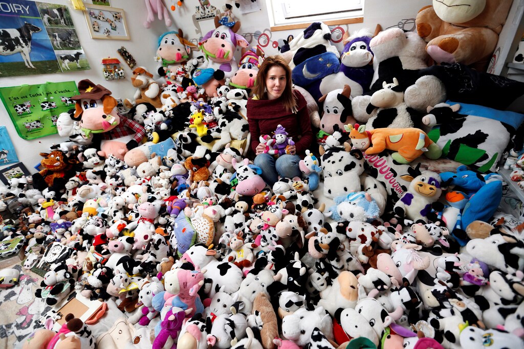 French Model Emeline Duhautoy poses with her collection of 1,679 stuffed toy cows she has been collecting for over seven years at her home in Saint-Omer, northern France, March 12, 2017. REUTERS/Charles Platiau - RC16D3D95750