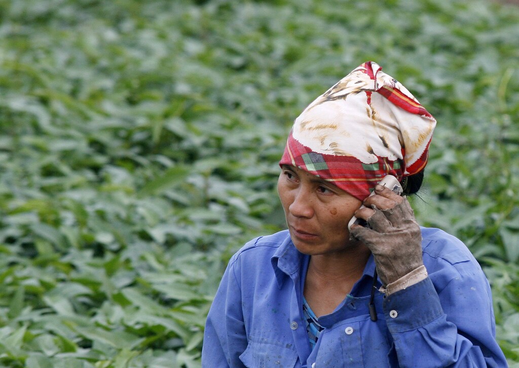A farmer uses a mobile phone on her morning glory vegetable field in Bach Lien village outside Hanoi March 31, 2010. REUTERS/Kham (VIETNAM - Tags: AGRICULTURE SOCIETY) - GM1E63V1U9T01