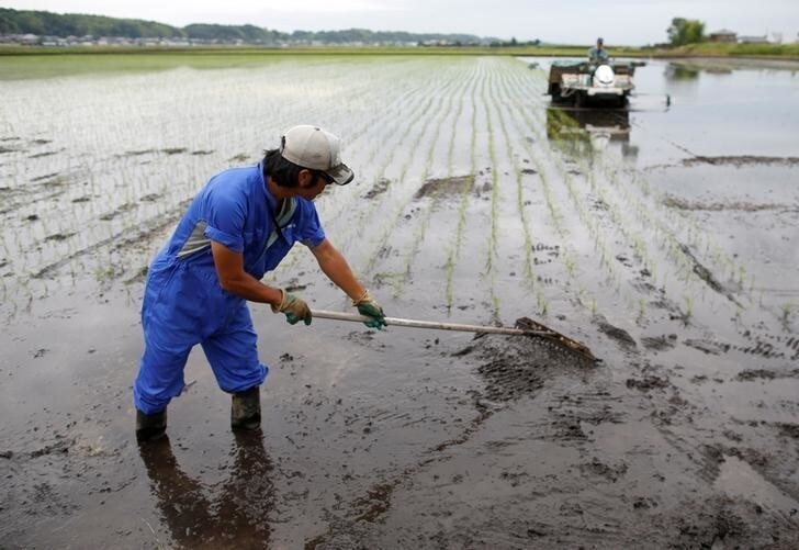 Men conduct rice planting in Ryugasaki, Japan June 26, 2017. Picture taken June 26, 2017. REUTERS/Issei Kato