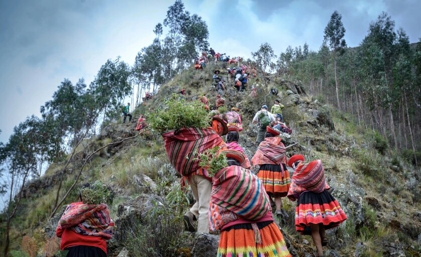 Deforestation support