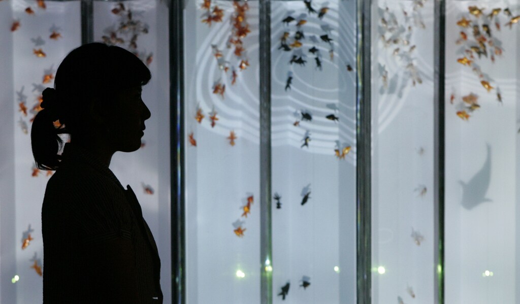 A woman looks at Goldfish in illuminated fish tanks at a makeshift aquarium named "Sky Aquarium II" in the 52nd floor of Mori Tower, a skyscraper in the Roppongi Hills complex in Tokyo July 17, 2008. Organisers said over 20,000 fish from about 500 different species are being displayed at the event. REUTERS/Toru Hanai (JAPAN) - GM1E47H1MFX01