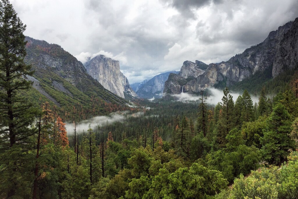 According to a new study, protected areas store as much carbon as fossil fuels emit per year.