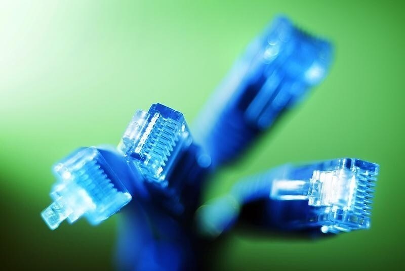 Internet LAN cables are pictured in this photo illustration taken in Sydney June 23, 2011. Australia cleared a key hurdle on Thursday in setting up a $38 billion high-speed broadband system after phone operator Telstra agreed to rent out its network.