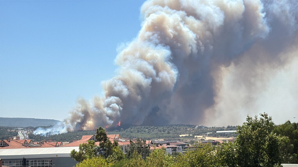 Heightened climate risk is one of the new Five Forces now confronting business.