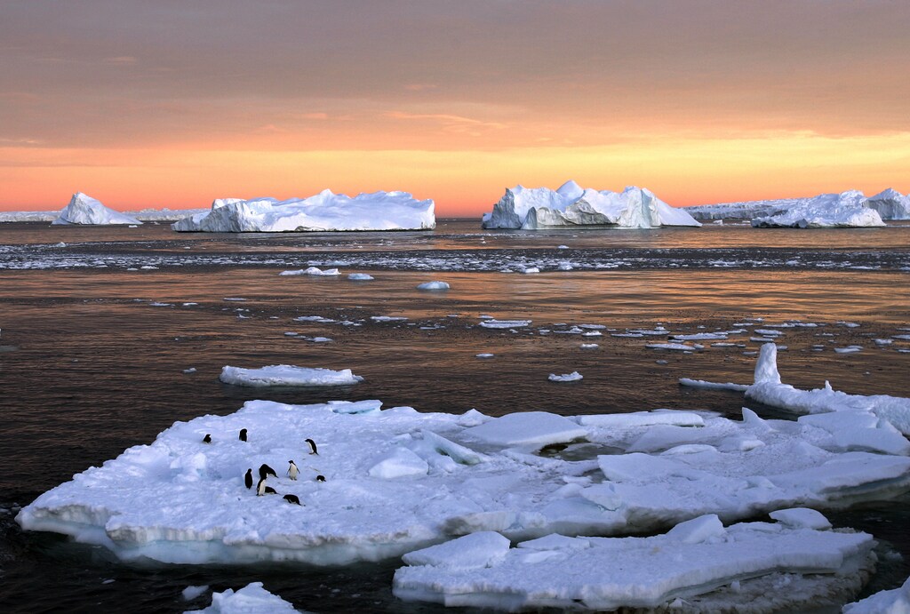 Icebergs in the ocean are shown against the back drop of an organ sky.