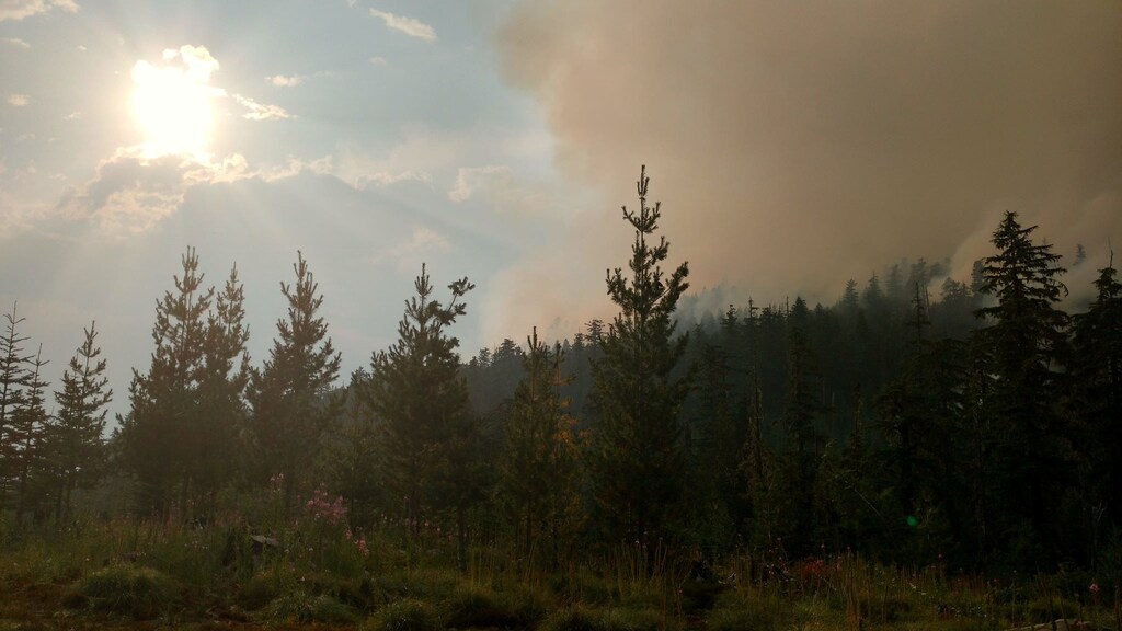 Wildfire burns in Willamette National Forest, Oregon, U.S. made available on August 11, 2017. Courtesy U.S. Forest Service Willamette National Forest/Handout via REUTERS ATTENTION EDITORS - THIS IMAGE HAS BEEN SUPPLIED BY A THIRD PARTY. - RC1F50580A10