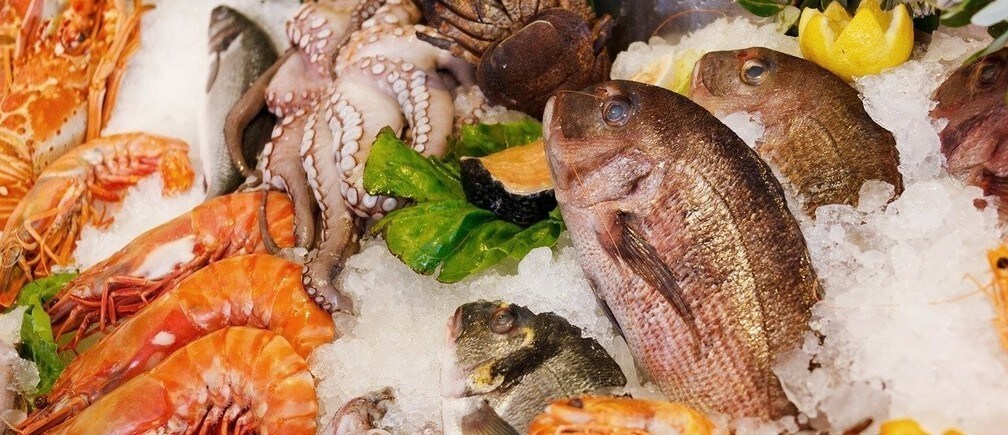 Something fishy: corruption is making the trade in fish a threat to sustainability