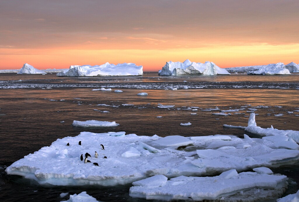Adelie penguins stand atop ice near the French station at Dumont dUrville in East Antarctica January 22, 2010. Russia and the Ukraine on November 1, 2013 again scuttled plans to create the world's largest ocean sanctuary in Antarctica, pristine waters rich in energy and species such as whales, penguins and vast stocks of fish, an environmentalist group said. The Commission for the Conservation of Antarctic Marine Living Resources wound up a week-long meeting in Hobart, Australia, considering proposals for two "marine protected areas" aimed at conserving the ocean wilderness from fishing, drilling for oil and other industrial interests. Picture taken January 22, 2010. To match story ANTARCTIC-ENVIRONMENT/ REUTERS/Pauline Askin (ANTARCTICA - Tags: ENVIRONMENT POLITICS ANIMALS TPX IMAGES OF THE DAY) - RTX14WAX