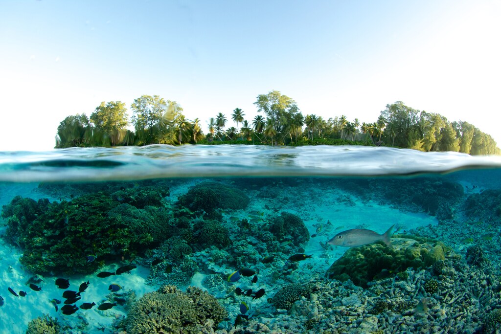Split level underwater image of small tropical island in seychelles. Positive climate tipping points can help us make permanent and cascading progress in the fight against climate change.