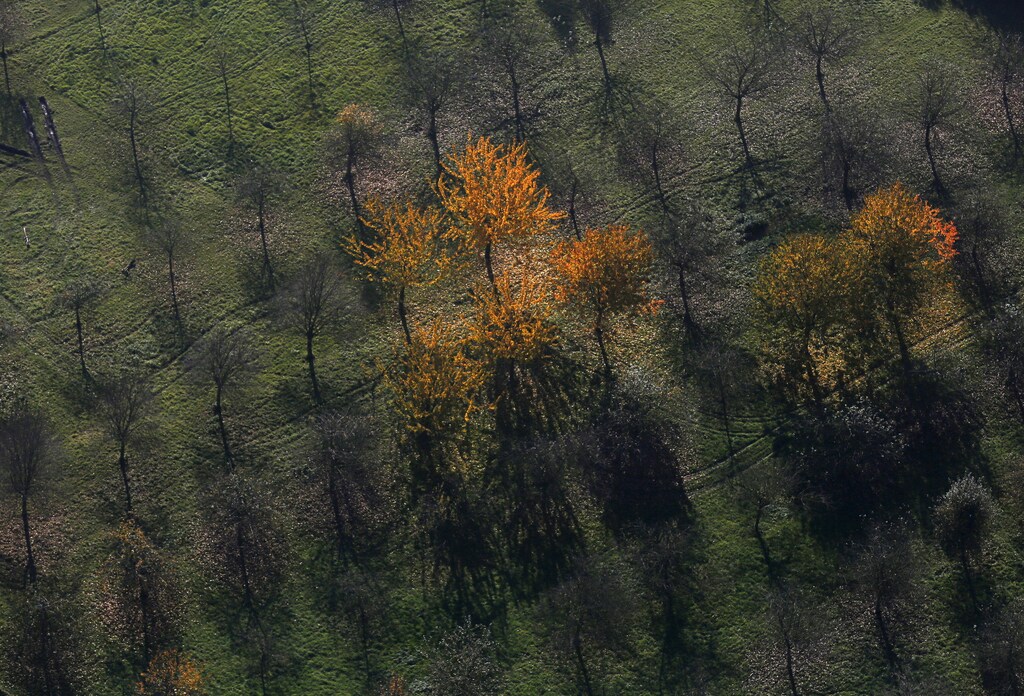 An aerial view shows a field with deciduous trees on a sunny autumn day in Recklinghausen, Germany, October 31, 2015. REUTERS/Ina Fassbender - GF20000040191