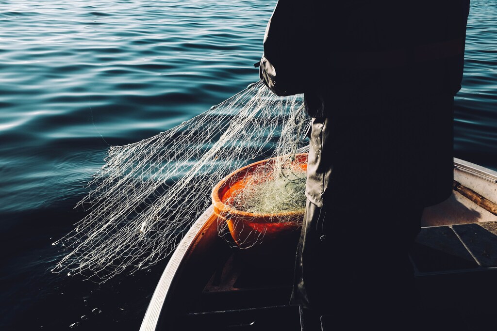 It is estimated that IUU fishing represents up to 20% of global seafood catch.