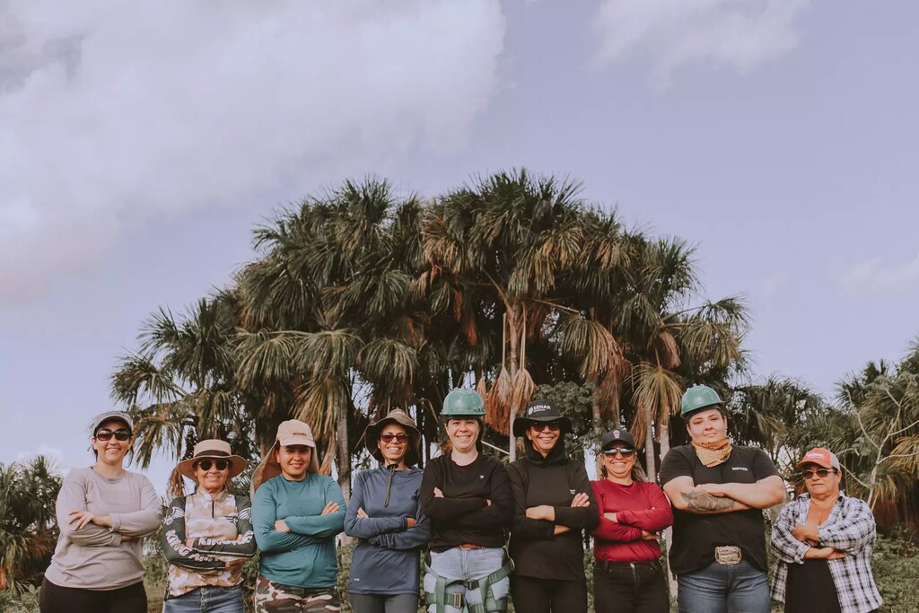 Existe un creciente movimiento de eco-emprendedores que busca fomentar modelos de negocio de "bioeconomía" que preserven y restauren la selva amazónica al tiempo que hacen un uso sostenible de sus recursos forestales en pie para proporcionar medios de vida a sus habitantes.