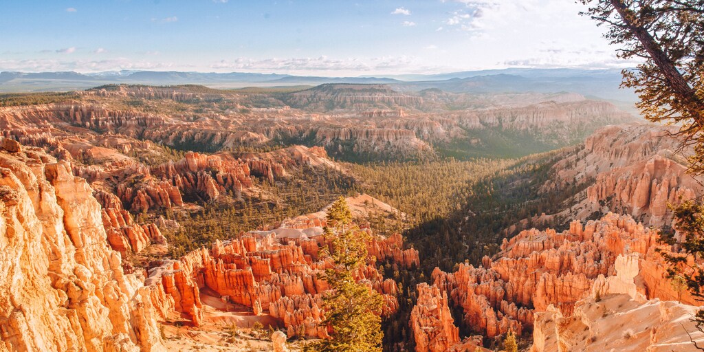 sunset bryce canyon national park land use agriculture forest shrubland wetland urban pasture cow meat food