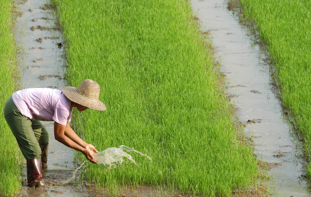 Top international trade stories: BRICS and G20 add members; Rice supplies under strain as India restricts export; and more.