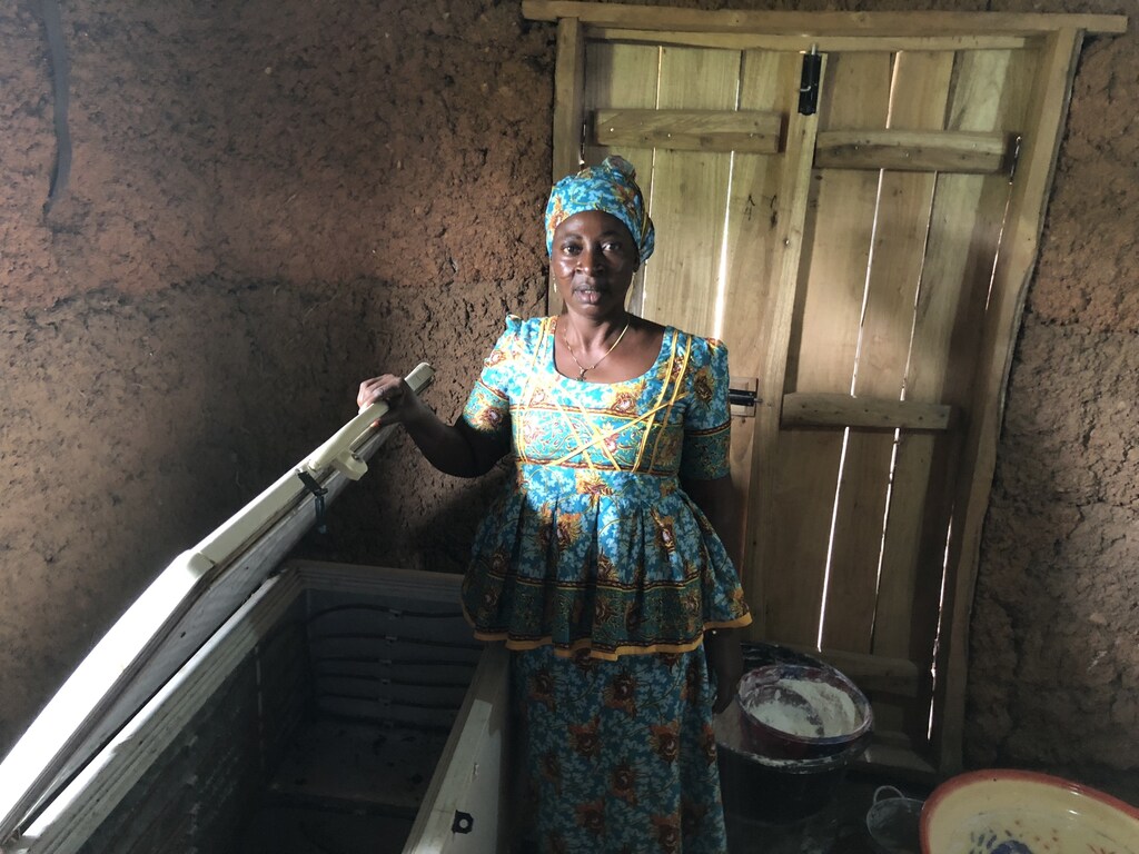 Romoke Taiwo, a fish farmer in Gbamu Gbamu, Nigeria, with her electric freezer.