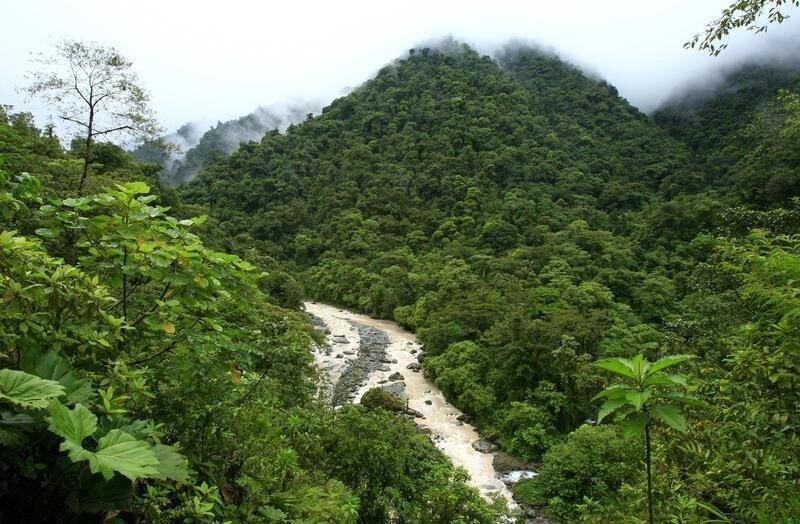 General view of the National Park Tapamti in Orosi, 80 miles (128km) of San Jose May 25, 2007. Green trailblazer Costa Rica is drawing up plans to cut its net greenhouse gas emissions to zero before 2030, the government said on Thursday, and aims to be the first nation to offset all its carbon. Environment Minister Roberto Dobles said the tiny, jungle-cloaked Central American nation would clean up its fossil fuel-fired power plants, promote hybrid vehicles and increase tree planting to balance its emissions. REUTERS/Juan Carlos Ulate (COSTA RICA) - GM1DVIMQWDAA