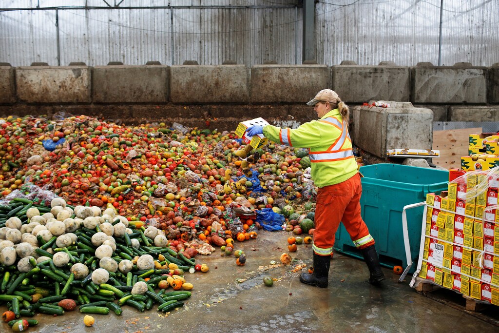 A worker dumps pre-consumer food waste before being feed to black soldier fly larvae at the Enterra Feed Corporation in Langley, British Columbia, Canada, March 14, 2018. Picture taken March 14, 2018. REUTERS/Ben Nelms - RC1E93FAC8B0