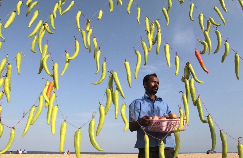 A vendor carries a basket containing onions and potatoes to prepare Chilli Bhaji, a local cuisine, at his stall decorated with green chillies to attract customers, on the Marina beach in the southern Indian city of Chennai July 10, 2012. REUTERS/Babu (INDIA - Tags: SOCIETY FOOD TPX IMAGES OF THE DAY BUSINESS) - GM1E87A1PJX01