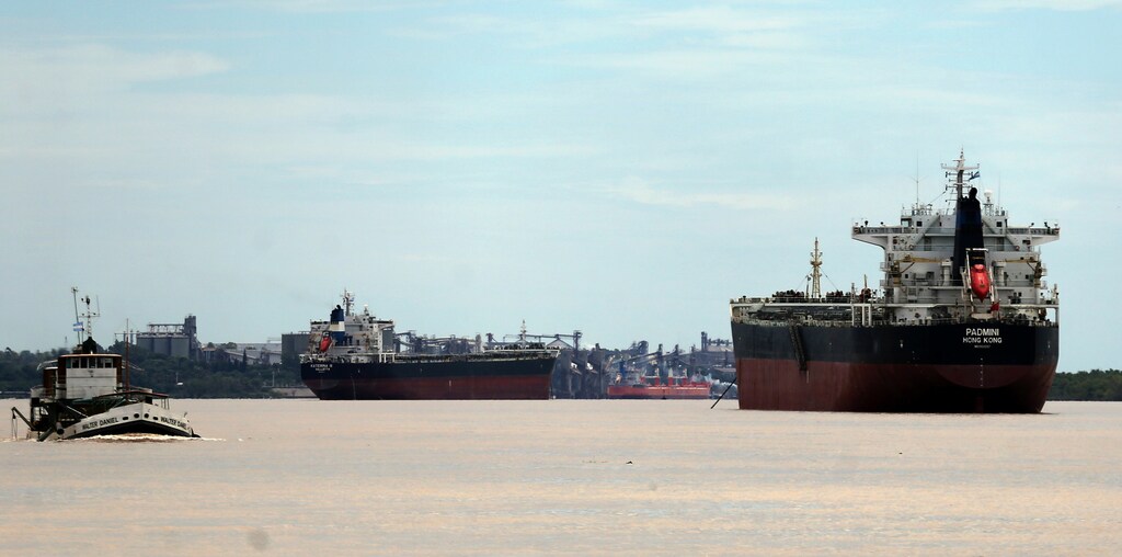 Ships used to carry grains for export are seen next to a dredging boat (L) on the Parana river near Rosario, Argentina, January 31, 2017. Picture taken January 31, 2017. REUTERS/Marcos Brindicci - RTSYW91