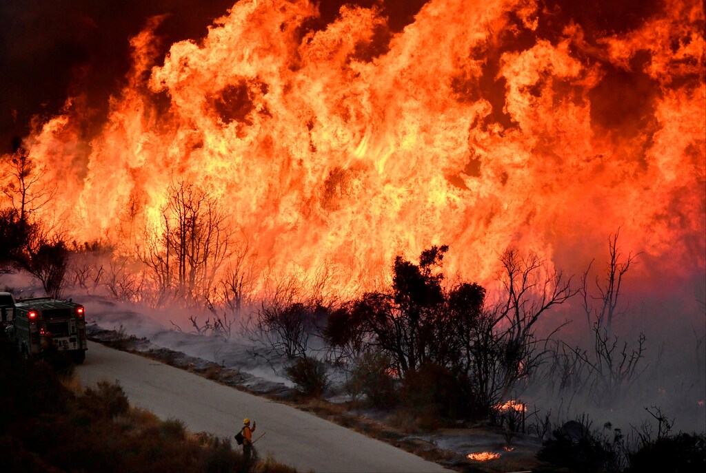 Fire fighters attack the Thomas Fires north flank with backfires as they continue to fight a massive wildfire north of Los Angeles, near Ojai , California, U.S., December 9, 2017. REUTERS/Gene Blevins TPX IMAGES OF THE DAY - RC1A69A86C20