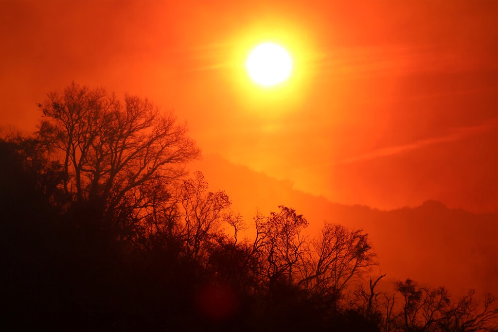 The sun rises over a smoldering landscape that was burned by a wildfire dubbed the Cave Fire, burning in the hills of Santa Barbara, California, U.S., November 26, 2019. REUTERS/David McNew - RC27JD90RMND