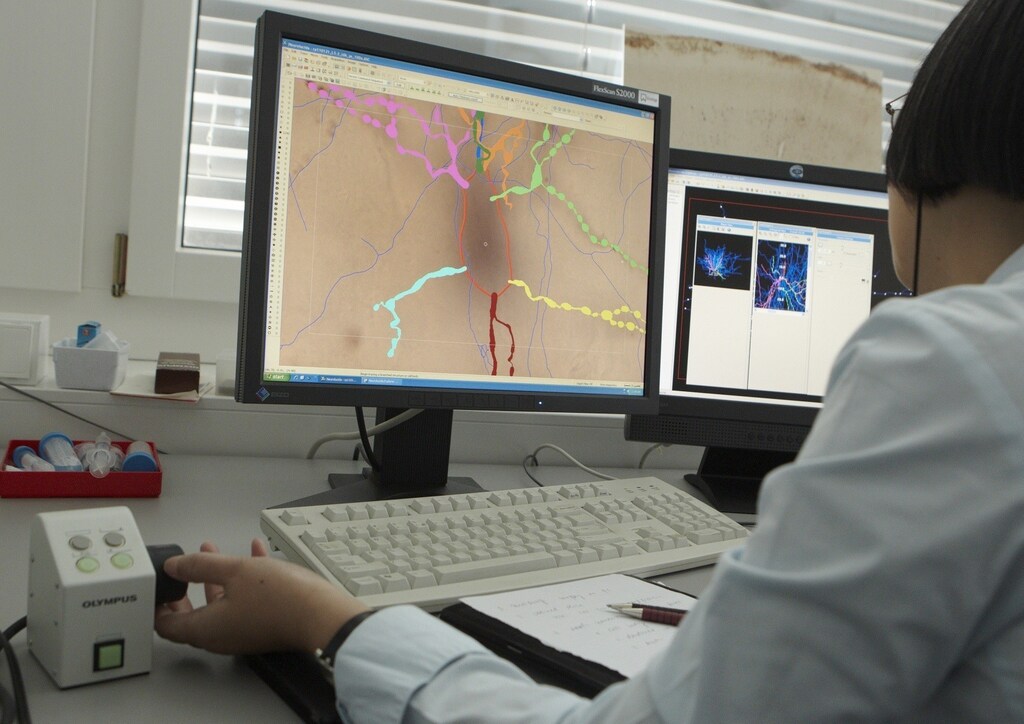Ying Shi works on the 3D modelling of a neuron, in a lab of the Blue Brain Project at the Brain Mind Institute of the Swiss Federal Institute of Technology (EPFL) in Ecublens, near Lausanne May 9, 2011. If selected from amongst six other candidates by the Future and Emerging Technologies (FET) Flagship Program launched by the European Commission, the Blue Brain Project will upgrade to become the Human Brain Project and will receive funding up to 100 million euros a year for 10 years. The final decision will take place in April 2012. The goal of the Blue Brain Project is to reconstruct the brain piece by piece and build a virtual brain in a supercomputer. REUTERS/Denis Balibouse (SWITZERLAND - Tags: HEALTH SCI TECH) - RTR2M6IL