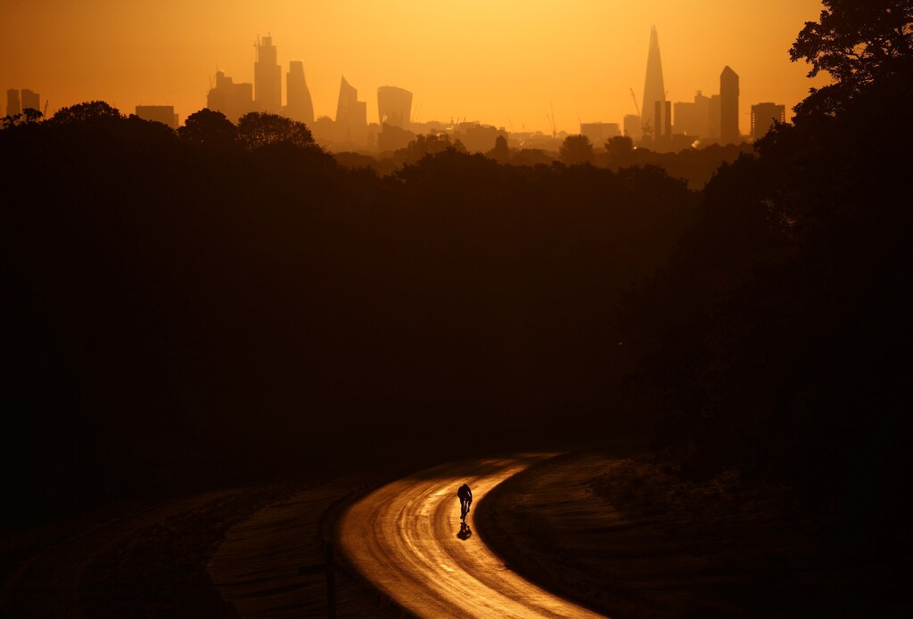 The sun rises behind The Shard and the financial district as a cyclist rides through Richmond Park in London, Britain, May 13, 2019.