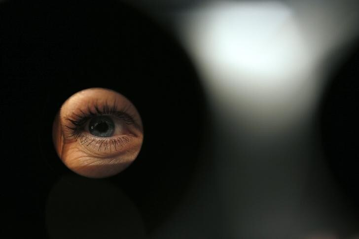 A woman looks through a 25x150 large Fujinon binocular during the Defence Security Equipment International (DSEI) arms fair at ExCel in London September 10, 2013. REUTERS/Stefan Wermuth (BRITAIN - Tags: MILITARY)