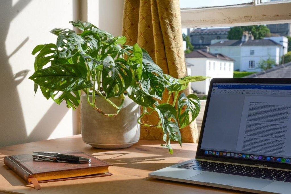 Work from home employment workforce employee
