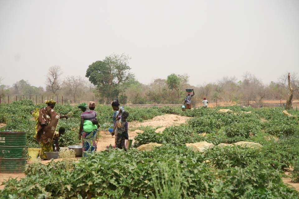 Women work on a vegetable garden built with U.N. funds in Djimebougou, Mali. Thomson Reuters Foundation/Chris Arsenault