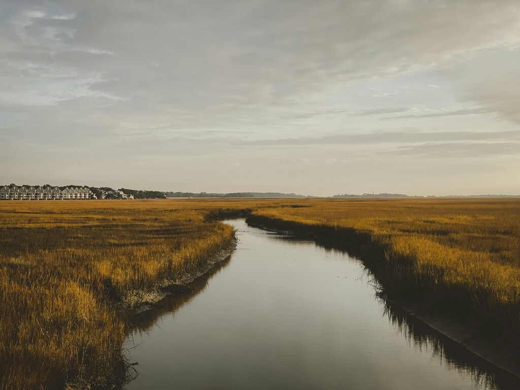Runoff pollution happens when pollutants from roads and agriculture are swept into the waterways by rain or snow melt that cannot drain into the ground.