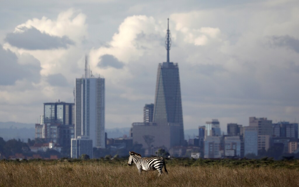 The Nairobi skyline is seen in the background as a zebra walks through the Nairobi National Park, near Nairobi, Kenya, December 3, 2018. REUTERS/Amir Cohen TPX IMAGES OF THE DAY - RC19DB1558F0