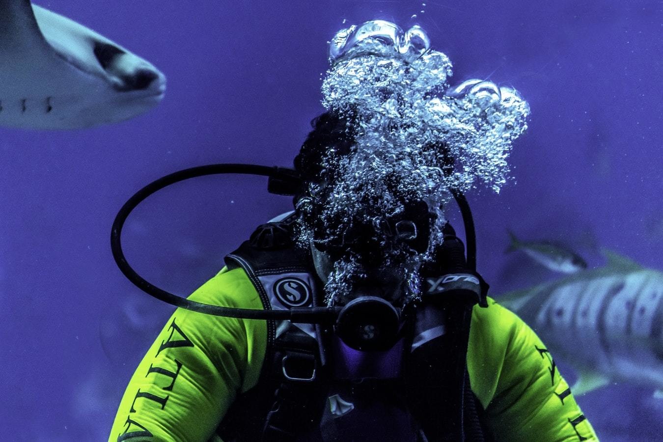 Scuba diver