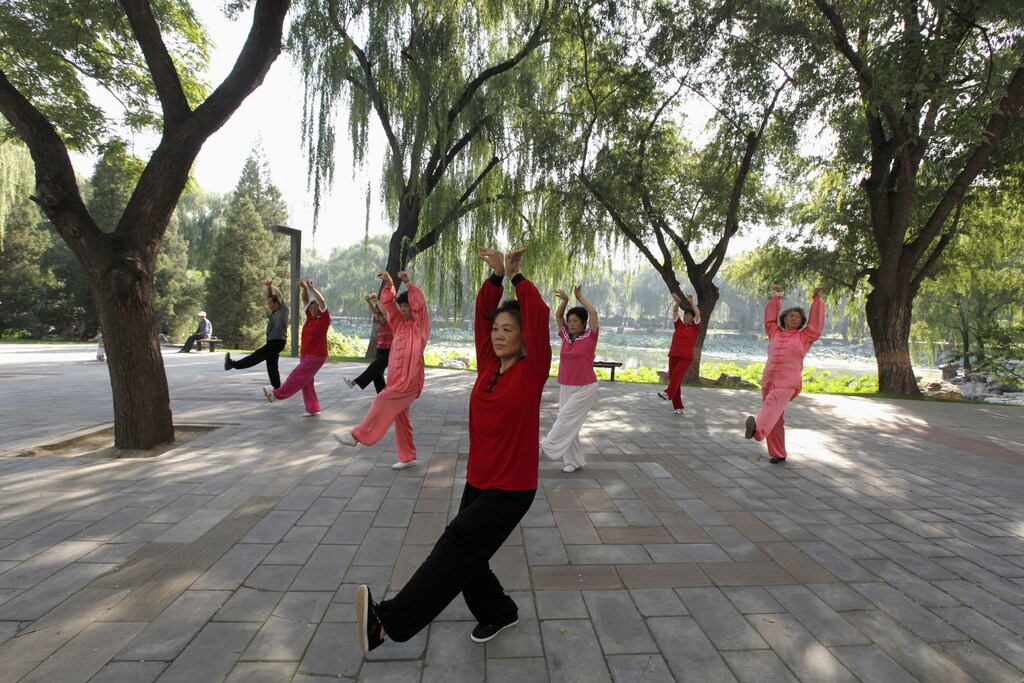 People practise tai chi, a Chinese martial art, during morning exercises at Longtan Park in Beijing September 13, 2010. REUTERS/Grace Liang (CHINA - Tags: SOCIETY) - GM1E69D0Z0401