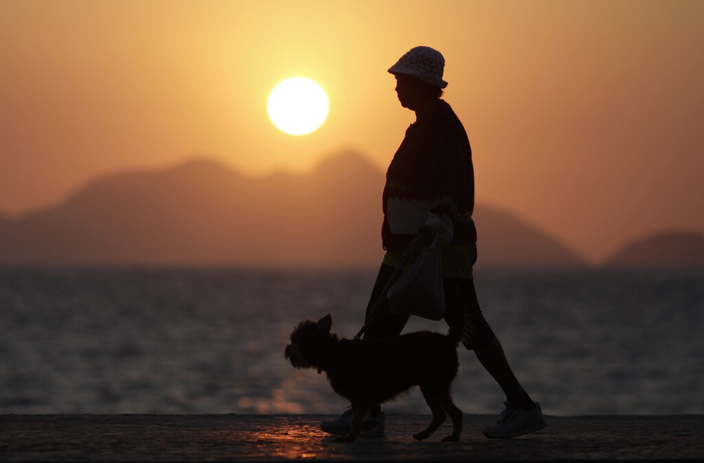 An elderly lady walks with her dog in Copacabana in Rio de Janeiro September 13, 2011. World Bank data show the growth rate of Brazil's older population as many times that of the most developed countries in Europe, projected to equal 14% of the population by 2033, while Copacabana has the largest number of retirees of any neighborhood in the country. Picture taken September 13, 2011. REUTERS/Ricardo Moraes (BRAZIL - Tags: SOCIETY) - GM1E79F0ERY01