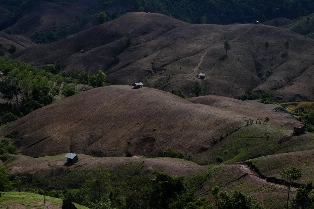A photo of land that has been transformed for agriculture, in Thailand.
