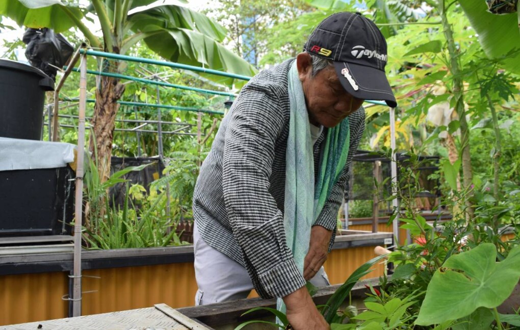 Retired taxi driver Roger Loh tending to his plants at an allotment garden in Singapore March 6, 2019.