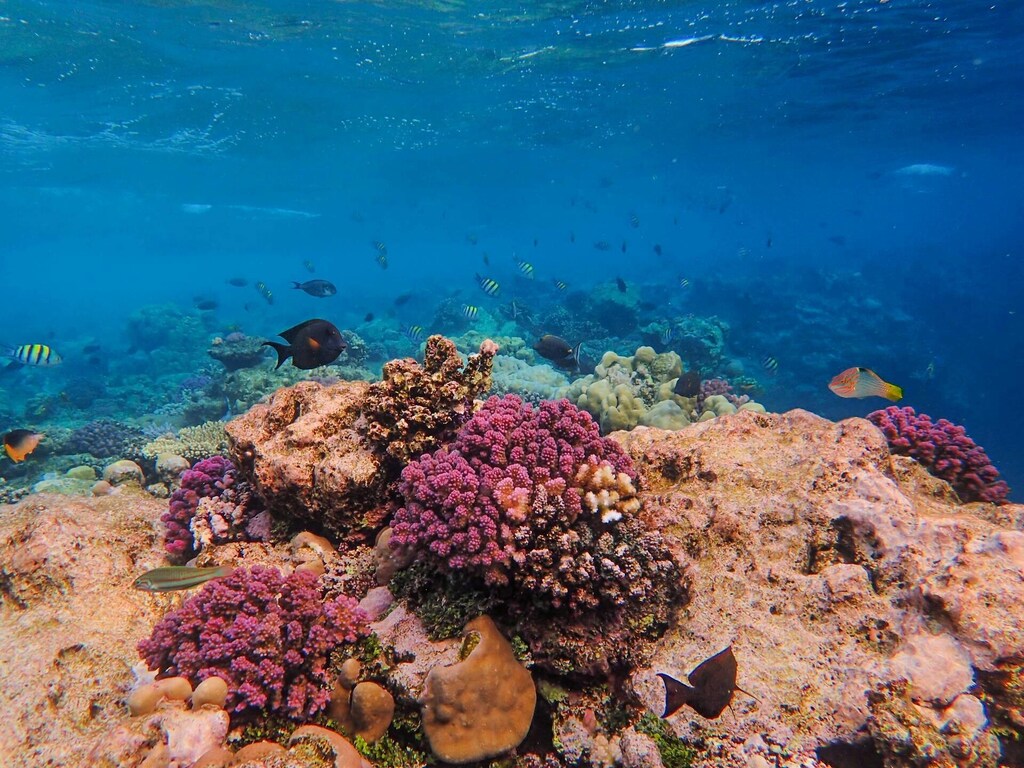 A sustainable ocean future depends on a shared vision that works for all of us and marine life too.