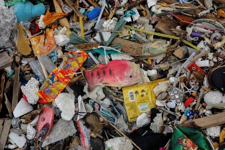 A plastic fish toy is pictured among sachets of various products on a trash-filled shore on Freedom Island, Paranaque City, Metro Manila, Philippines, July 15, 2019. Picture taken July 15, 2019. REUTERS/Eloisa Lopez