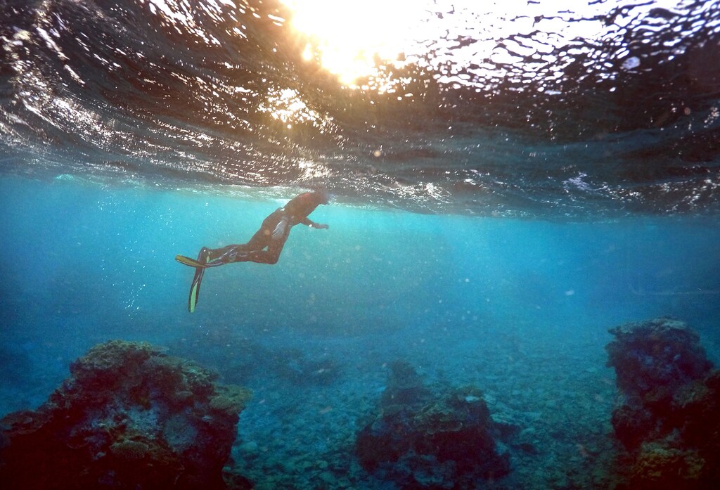A man snorkels in an area called the 'Coral Gardens' near Lady Elliot Island, on the Great Barrier Reef, northeast of Bundaberg town in Queensland, Australia, June 11, 2015. REUTERS/David Gray/File Photo - RTX2EQUP
