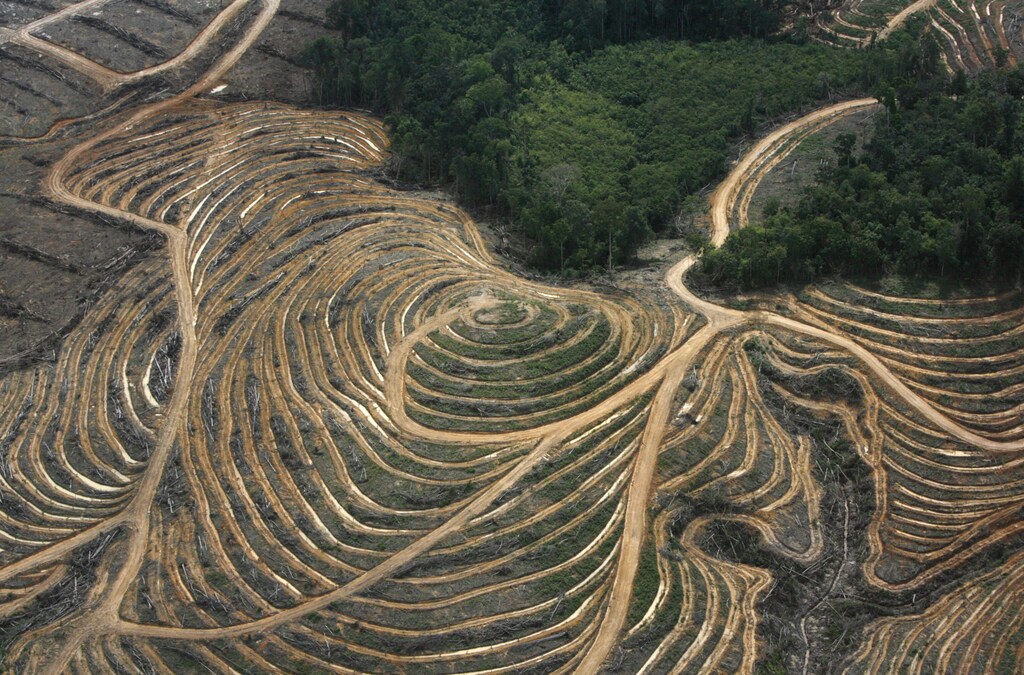 An aerial view shows a cleared forest area under development as a palm oil plantation by palm oil companies in the Ketapang district of Indonesia's West Kalimantan province July 5, 2010. The photograph was taken as part of a media trip organised by conservationist group Greenpeace, which has campaigned against palm oil expansion in forested areas in Indonesia. Documents written between 2008 and January 2010 and sent between lobbyists, scientists and high-ranking European civil servants, released after Reuters invoked transparency laws, exposed a huge rift in Brussels over biofuels policy and also undermined Europe's ambition of using alternative fuels to wean the continent off oil by showing how vested interests have influenced the science behind a cornerstone of the continent's clean energy policy. To match Special Report BIOFUELS/EUROPE REUTERS/Crack Palinggi (INDONESIA - Tags: BUSINESS ENERGY ENVIRONMENT POLITICS) - GM1E6751NW501