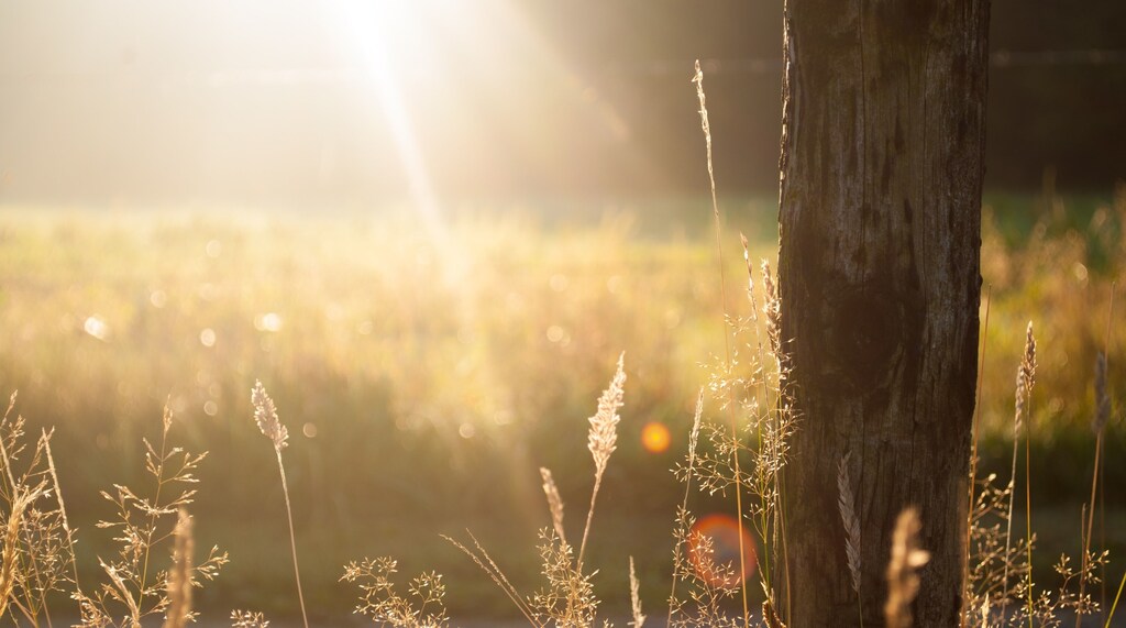 Scientists in the US are experimenting with carbon recycling through solar power.
