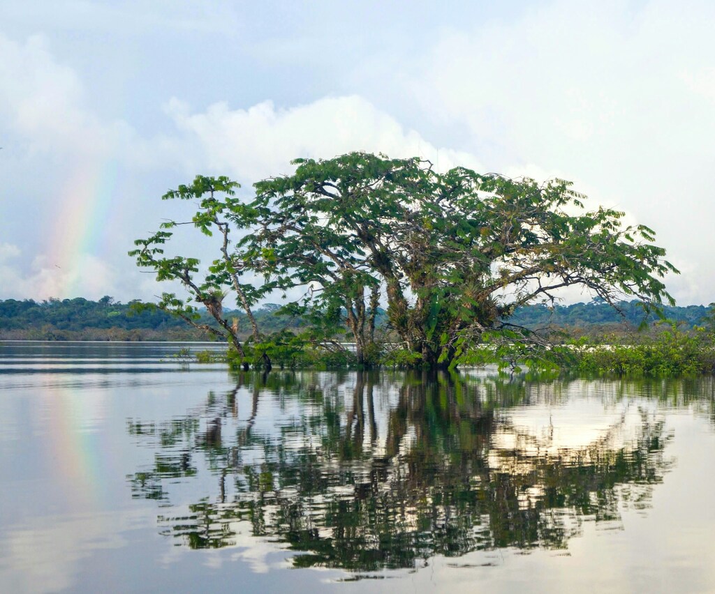 La Visión 2050 para la Biodiversidad pretende proteger y restaurar la biodiversidad y los servicios ecosistémicos.
