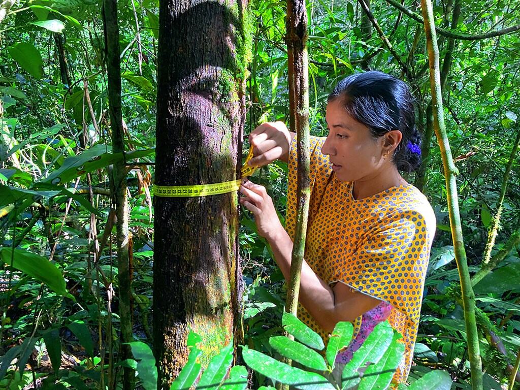 Inclusive development relies on collective action and systematically integrating the social economy into the core frameworks of development finance.