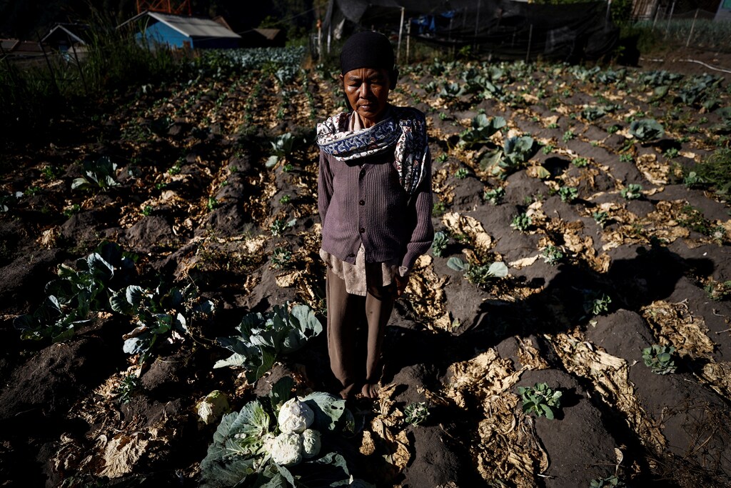 Una agricultora en Java Oriental, Indonesia.