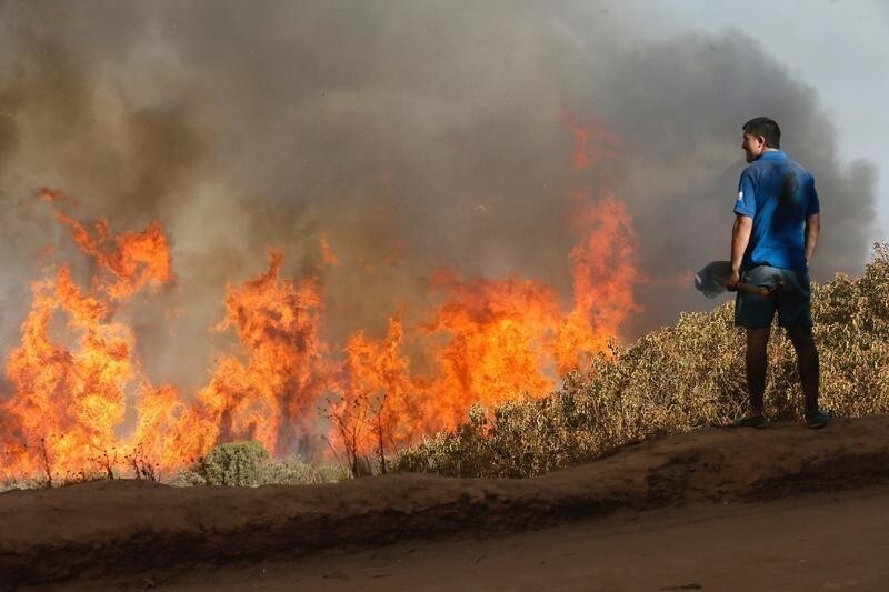 A resident looks at a wildfire in Vina del Mar, Chile, March 12, 2017. REUTERS/Rodrigo Garrido - RTX30Q8W