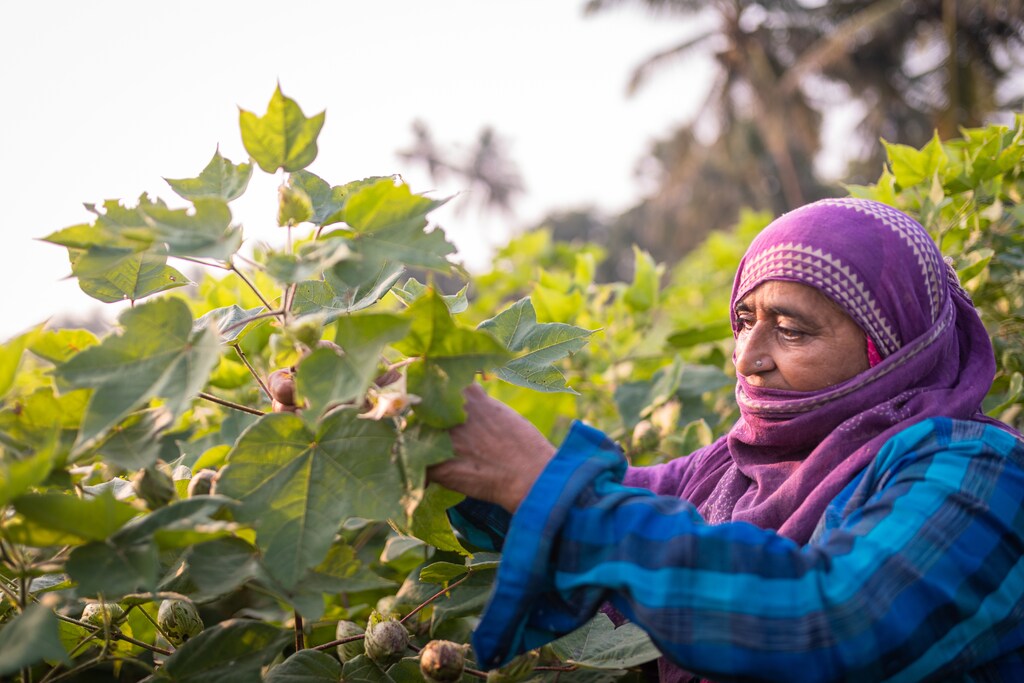 The world’s 570 million smallholders play a fundamental role in today’s global agriculture systems and textile industries.