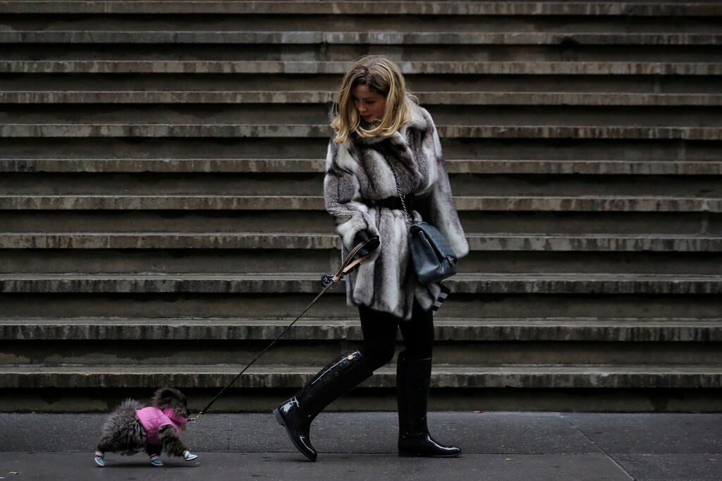 A woman walks her dog on Wall St. during a cold day in New York City, U.S., December 13, 2018. REUTERS/Brendan McDermid TPX IMAGES OF THE DAY - RC1CF615F700